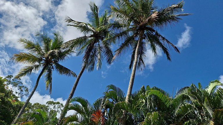 Refúgio em meio à natureza - Cocaia, Ilhabela