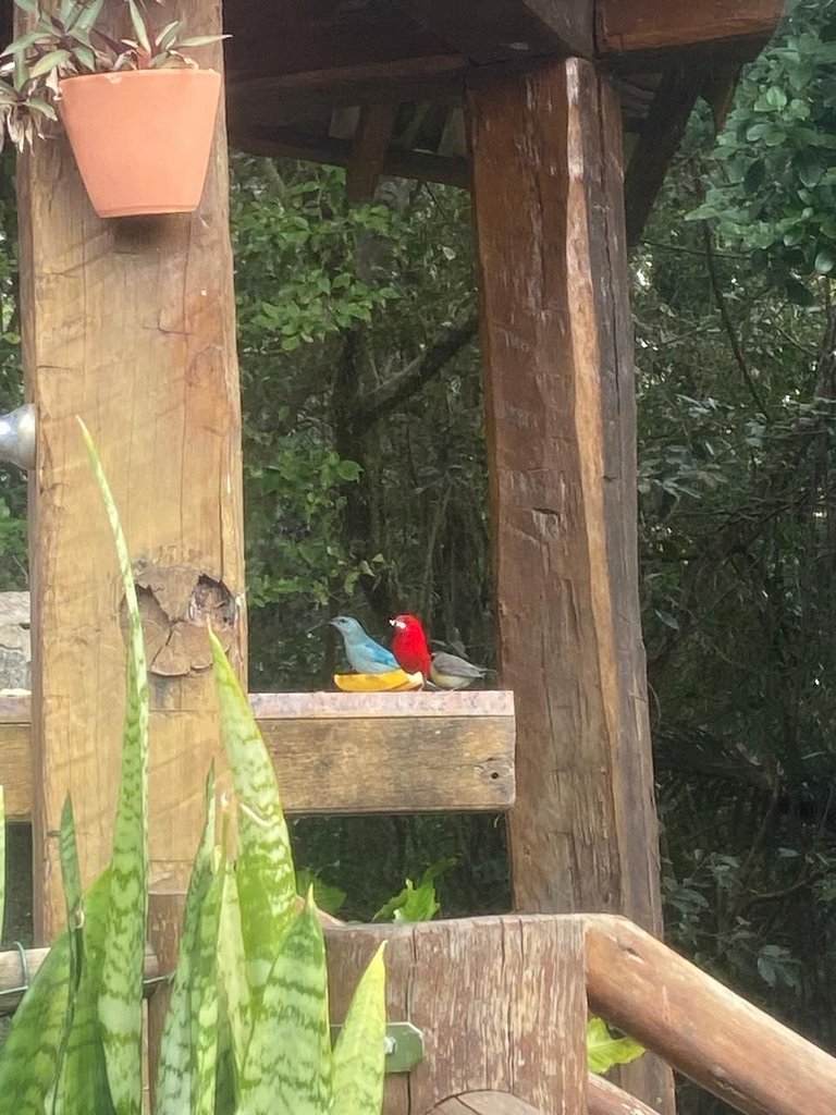 Um paraíso em condomínio à beira-mar na Ponta da Sela – Sul