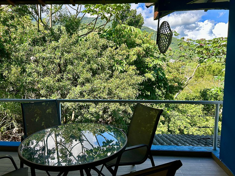 Visual deslumbrante, piscina e churrasqueira