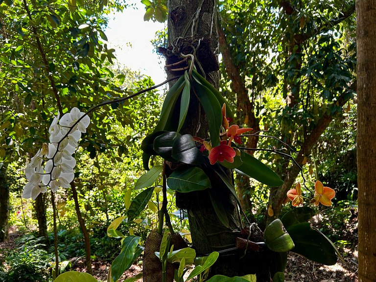Casa em condomínio, varanda gourmet, praia Veloso